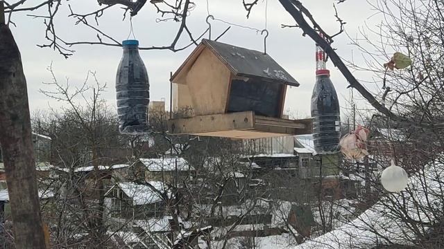 начало зимы, вчера был снегопад смотреть онлайн