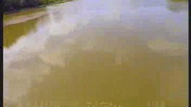 Утки-штурмовики смотреть онлайн