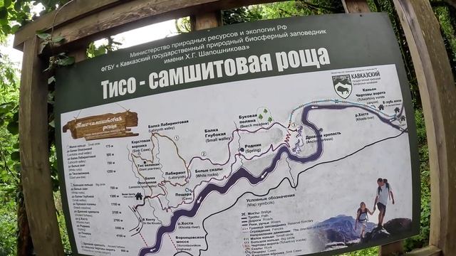 Тисо - Самшитовая роща / Крутой пеший маршрут в Сочи смотреть онлайн