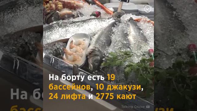 САМЫЙ БОЛЬШОЙ КРУИЗНЫЙ ЛАЙНЕР В МИРЕ смотреть онлайн