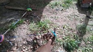 Как передвинуть сарай 5. Май 2020