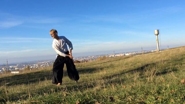 Aikido ushiro ukemi tutorial. Айкидо. Укеми: Сухой кленовый лист. смотреть онлайн