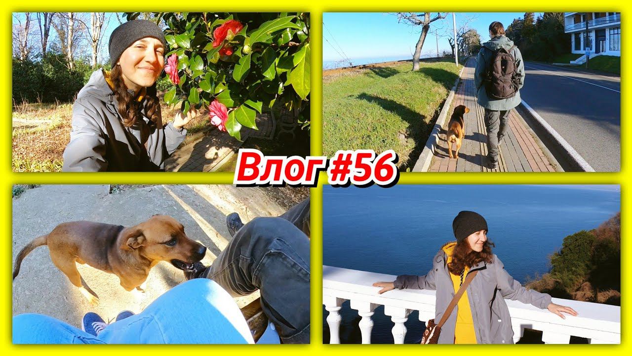 #56 Ботанический сад Батуми! Камелии, собакен и супер прогулка! смотреть онлайн