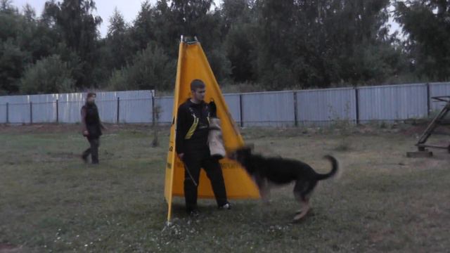 ДЦ *ZооИмперия* г.Ярославль смотреть онлайн