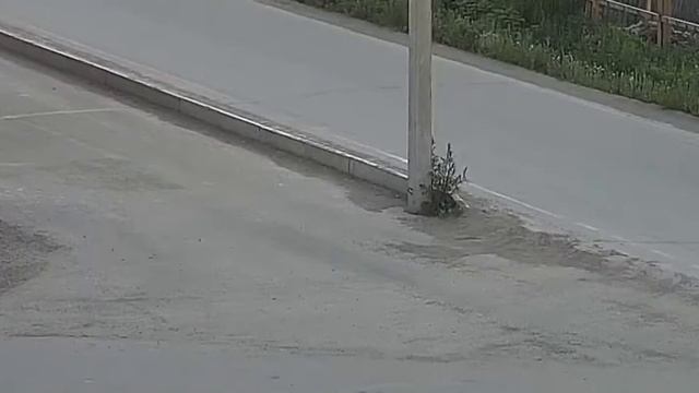 Камера уличная №110 (вечер) - цена камеры 12600 руб. смотреть онлайн