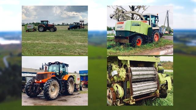 Ферма, Новгородская область, город Чудово смотреть онлайн