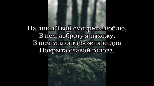 289 Пусть все смеются надо мной смотреть онлайн