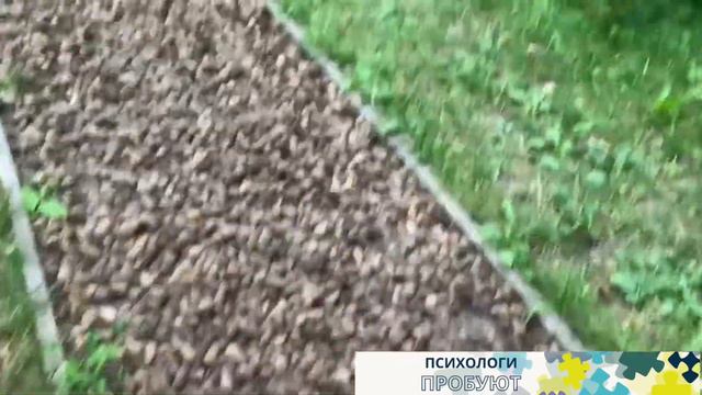 Психологи пробуют «Босоногую» тропу смотреть онлайн