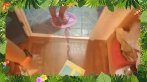 ДЖУНГЛИ ДЛЯ ДЕТЕЙ ???