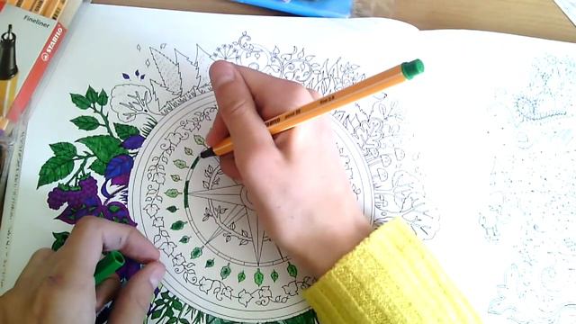 Раскраски антистресс#3 Зачарованный лес смотреть онлайн