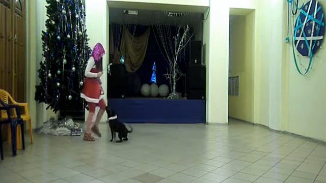 Видеосоревнования "Новогодний сюрприз" 2013 смотреть онлайн