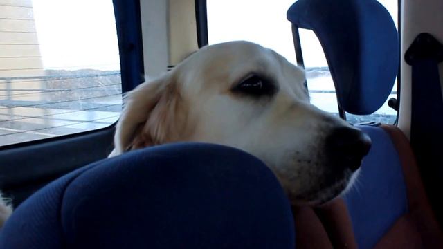 Way to Norway '16 смотреть онлайн