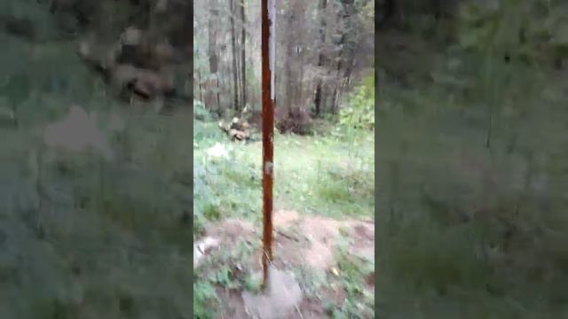 Как кадастровый инженер лес отжал. В свою собственность. смотреть онлайн