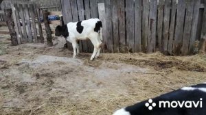 Всех с праздником и нас с сюрпризом! Такого подарка на 8 марта я ещё не получала!