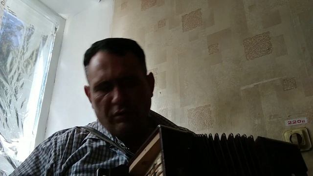 Гармонь Шуя с увеличенным розливом смотреть онлайн