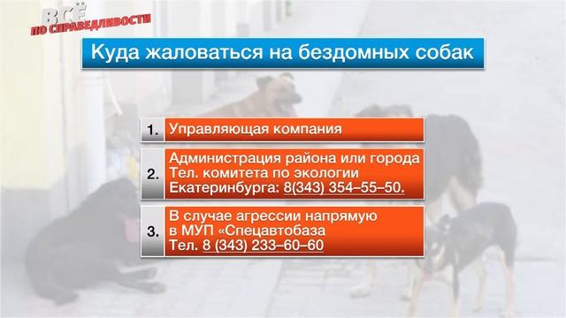 Все по справедливости № 9 смотреть онлайн