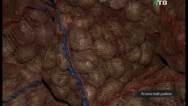 Глава Хакасии обещал поддержать овощной бизнес смотреть онлайн