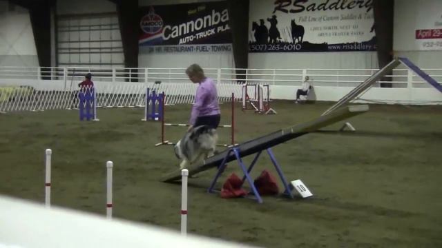 Mira Albrecht agility(1/4) смотреть онлайн