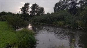 Звуки природы / 8 часов расслабляющих звуков природы / Пение птиц и неторопливое журчание реки