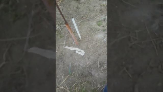 монарда красная,фиолетовая,сиреневая 19апреля2022 смотреть онлайн