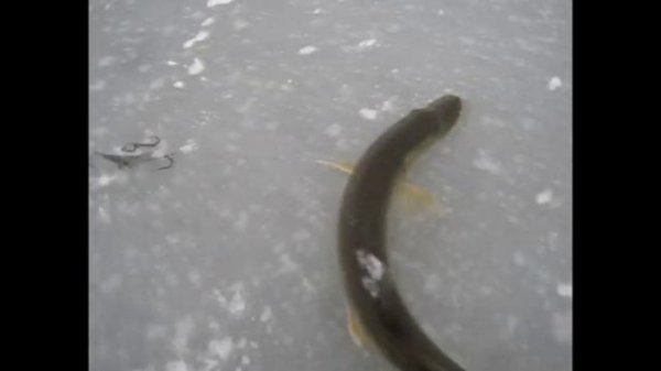 озеро Шибаево