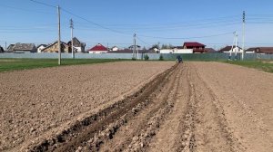 посадка картошки под плуг мотоблоком 2022