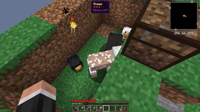 All In One Modpack | Infusion Altar! | E03 | 1.16.5 Skyblock Modpack смотреть онлайн