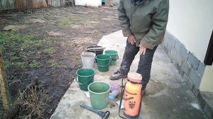 медный купорос как обрабатыаать