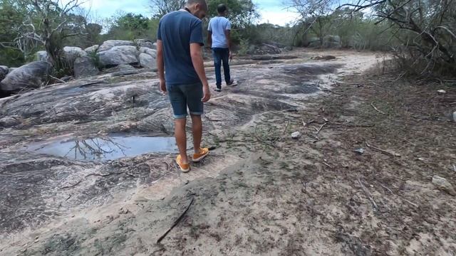 Шри Ланка Влог | Отиваме На Сафари В Национален Парк Яла смотреть онлайн