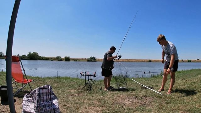 Результативная рыбалка на толстолоба Краснодар смотреть онлайн