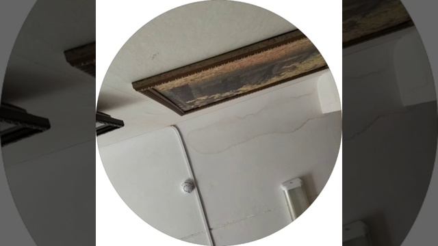 Wildflower - Ann Altair Version (snippet)