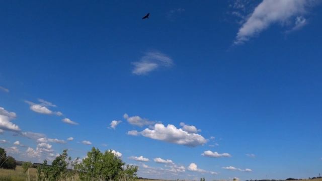МЫСЛЬ И ПАМЯТЬ - ВОРОНЫ ОДИНА. смотреть онлайн