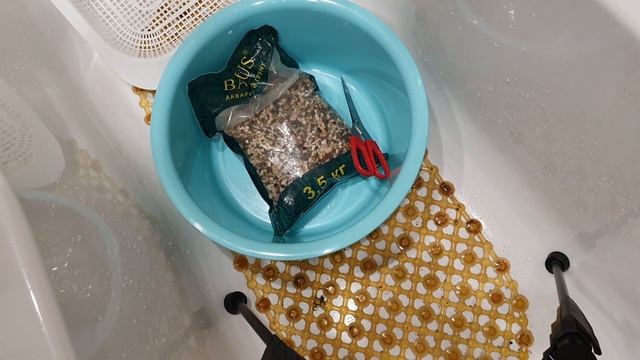 #aqua #аквариум #чисткааквариума #barbus Чистка аквариума добавляю аквариумный грунт Barbus смотреть онлайн