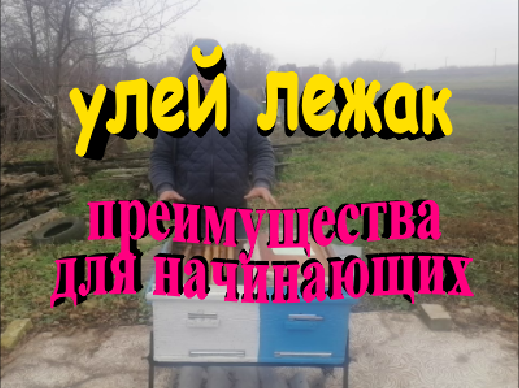 Улей лежак преимущества для начинающих пчеловодов смотреть онлайн