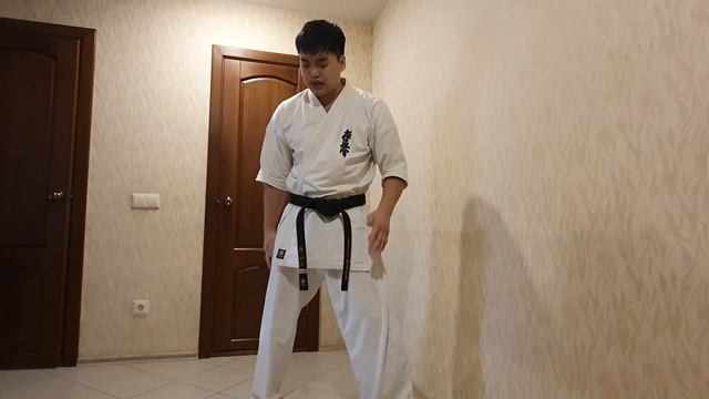 PanDojo Тренировка КУМИТЭ часть 4 смотреть онлайн