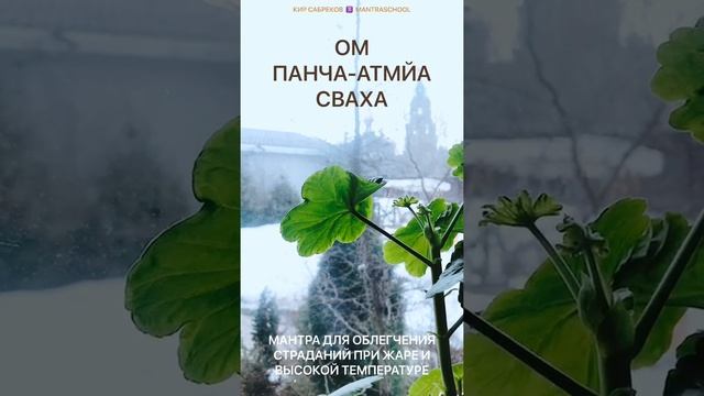 МАНТРА ОТ ТЕМПЕРАТУРЫ / ЖАРА / Кир Сабреков / mantraschool смотреть онлайн