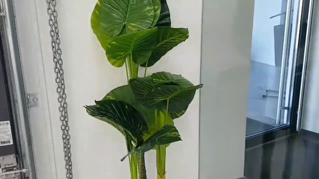 Экскурсия по защитному центру Ceramic Pro Belarus в Минске (Боровляны) . Нанокерамика