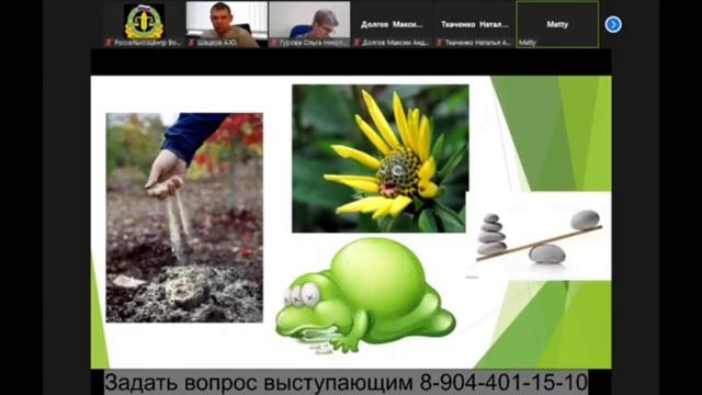 Кремний в жизни растений часть 2 смотреть онлайн