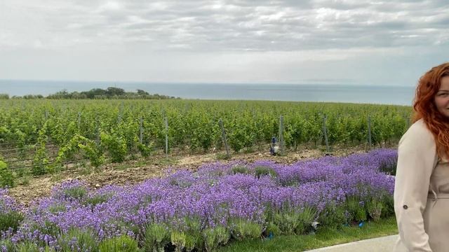 Самый Дорогой Отель В Котором Мы Были! Обзор Mriya Resort & SPA [4K] смотреть онлайн