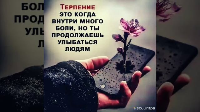 Я хочу сказать спасибо ?☺️ смотреть онлайн