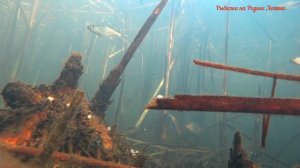 Рыбалка с подводной камерой!!!