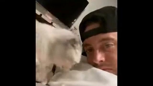 Что будет если целовать кота, жесть, мужик целует кота
