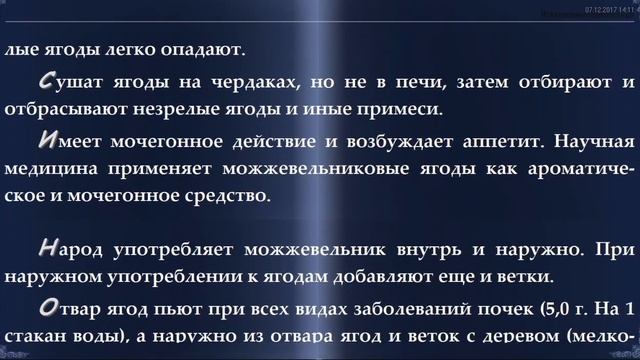 Можжевельник обыкновенный смотреть онлайн