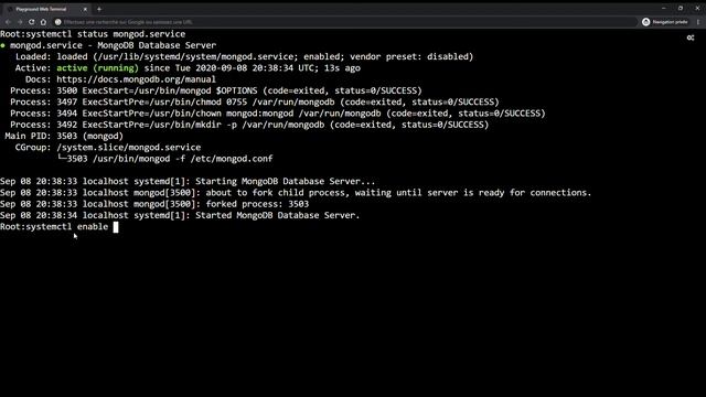 Installer la base de donnée MongoDB sous Amazon Linux смотреть онлайн