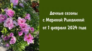 Дачные сезоны с Мариной Рыкалиной от 1 февраля 2024 года
