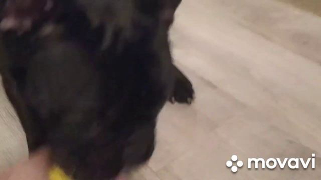 Лимонное настроение смотреть онлайн