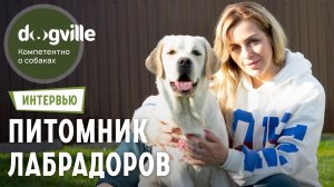 Лабрадор - О породе с владелицей питомника