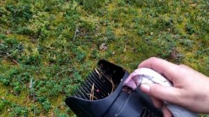 ДЕШЕВЫЙ КОМБАЙН ДЛЯ СБОРА ЯГОД И ПОДОРОЖЕ