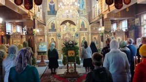 Символ веры поёт народ Божий в храме  молитву в День Святой Пятидесятницы