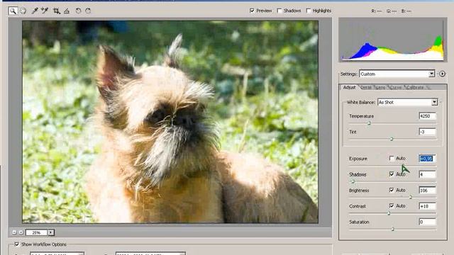 Расширение динамического диапазона с использованием формата RAW CS2 смотреть онлайн